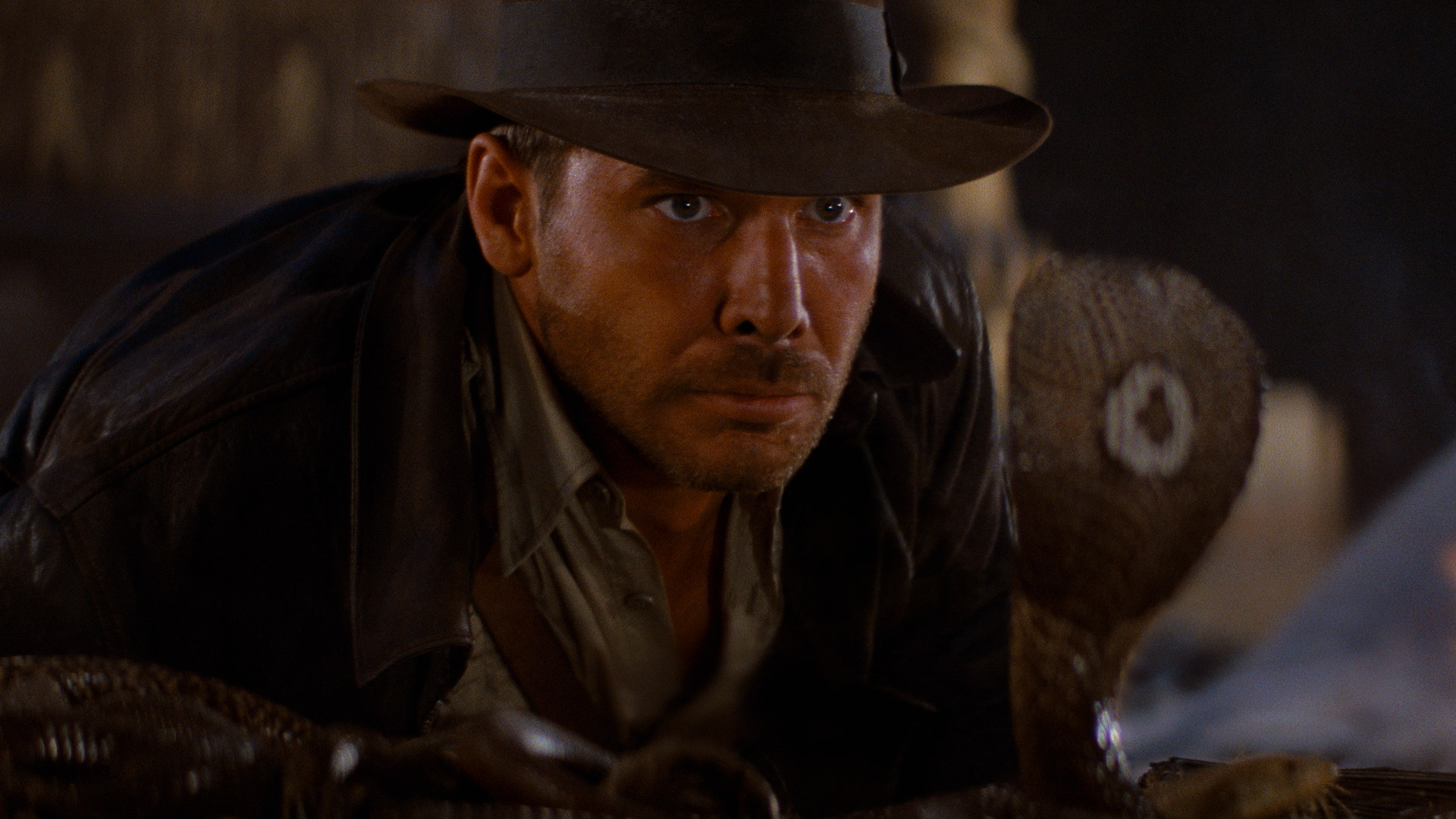 Indiana Jones looking at a snake