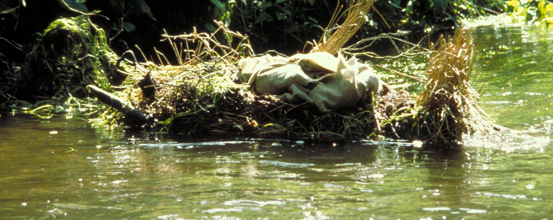 Elora Danan floats down the River Freen