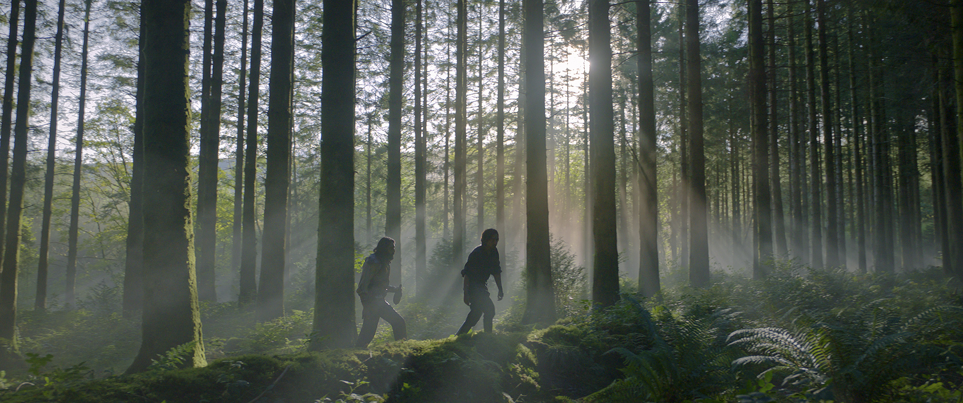 Boorman and Graydon walking in the Wildwood